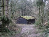 Huette bei Schorborn  (1)